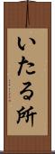 いたる所 Scroll