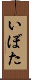 いぼた Scroll
