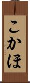 こかほ Scroll