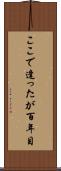 ここで逢ったが百年目 Scroll