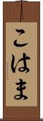 こはま Scroll