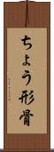 ちょう形骨 Scroll