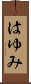 はゆみ Scroll