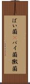 ばい菌(P) Scroll