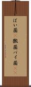 ばい菌(P) Scroll
