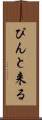 ぴんと来る Scroll