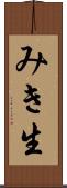 みき生 Scroll