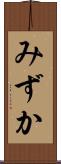 みずか Scroll
