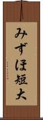 みずほ短大 Scroll