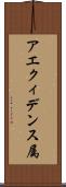 アエクィデンス属 Scroll