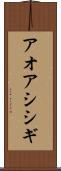 アオアシシギ Scroll