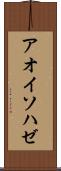 アオイソハゼ Scroll