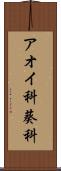アオイ科 Scroll