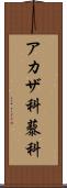 アカザ科 Scroll