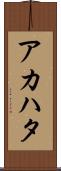 アカハタ Scroll