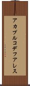 アカプルコデフアレス Scroll