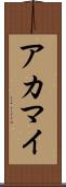 アカマイ Scroll