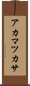 アカマツカサ Scroll