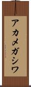 アカメガシワ Scroll