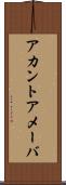 アカントアメーバ Scroll