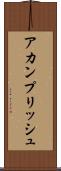 アカンプリッシュ Scroll