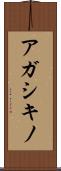 アガシキノ Scroll