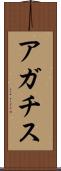 アガチス Scroll