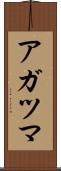 アガツマ Scroll