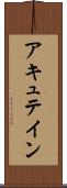 アキュテイン Scroll