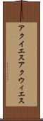 アクイエス Scroll