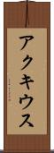 アクキウス Scroll