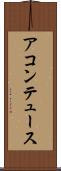 アコンテュース Scroll
