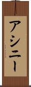 アシニー Scroll