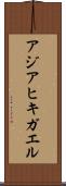 アジアヒキガエル Scroll