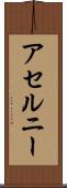 アセルニー Scroll