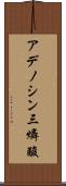アデノシン三燐酸 Scroll