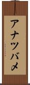 アナツバメ Scroll