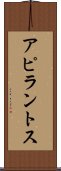 アピラントス Scroll