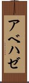 アベハゼ Scroll