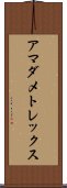 アマダメトレックス Scroll