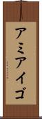 アミアイゴ Scroll