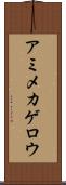 アミメカゲロウ Scroll