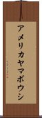 アメリカヤマボウシ Scroll