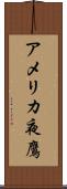アメリカ夜鷹 Scroll