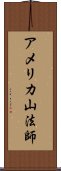 アメリカ山法師 Scroll