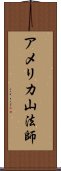 アメリカ山法師 Scroll