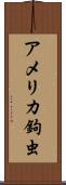 アメリカ鉤虫 Scroll