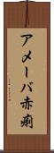 アメーバ赤痢 Scroll
