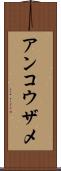 アンコウザメ Scroll