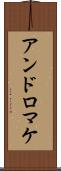 アンドロマケ Scroll